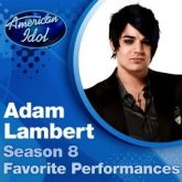 American Idol 2009