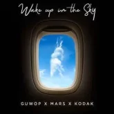 Wake Up In The Sky