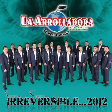 Irreversible…2012