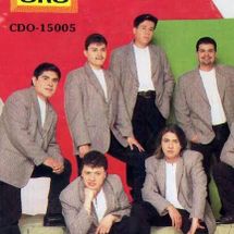 La Arrolladora Banda El Limon