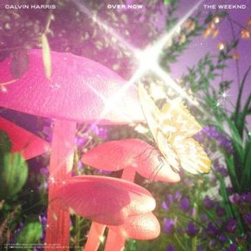 Over Now (feat. Calvin Harris)