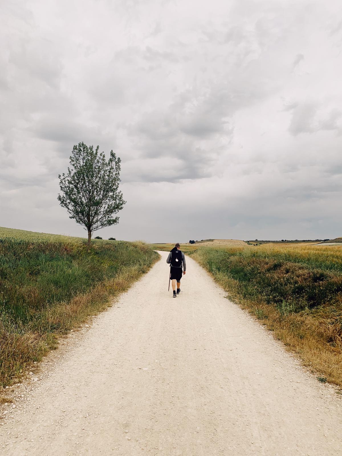 Una imagen de una persona solitaria en un camino, simbolizando el viaje interno después del desamor